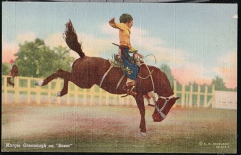 Margie Greenough Cowgirl On Boxer Bucking Bronco Vtg Postcard Old