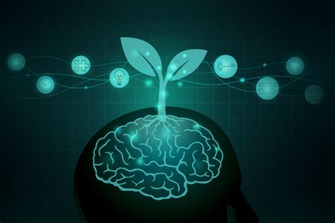 How Adopting a Growth Mindset Can Grow Your Business