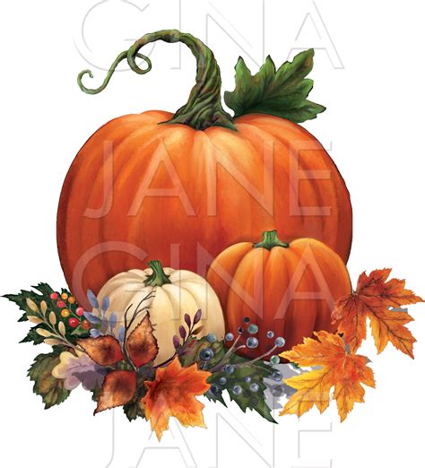 Pumpkins Leaves Birds Fall Sublimation Png Gina Jane Studio Etsy