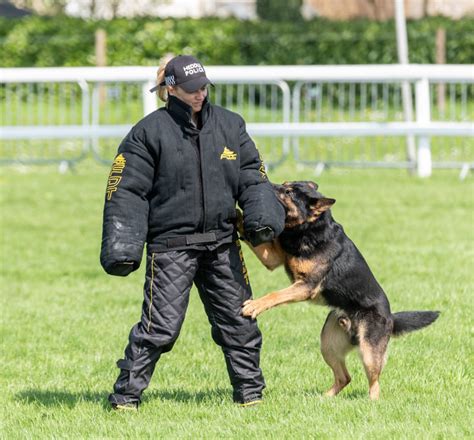 Police Dog Training Suit Dog Handler Clothes £95000