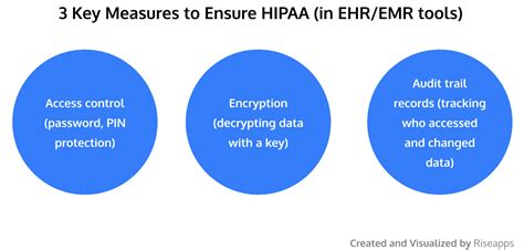 Hipaa And Emr Ehr All You Need To Know About Compliance Riseapps