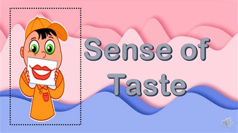 Sense Of Taste Kindergarten Youtube