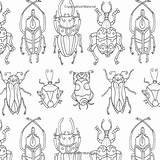Insectes Insects Insekten Monks Rosalind Vorlage Kunstprojekte Ostern Catris Perlentiere Textilkunst Droles Entomologie Insektenkunst sketch template