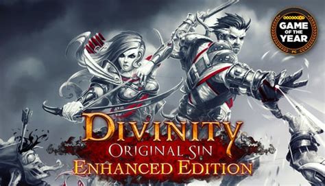 Divinity Original Sin Enhanced Edition How To Fix Latency Issues In