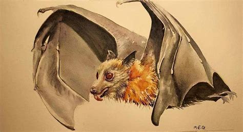 Bat 6 Painting By Maria Gronlund