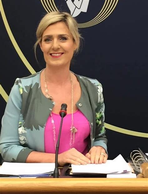 Renua Leader Snubs Under Fire Td Maria Bailey Joining His Party If She Got The Boot From Fine