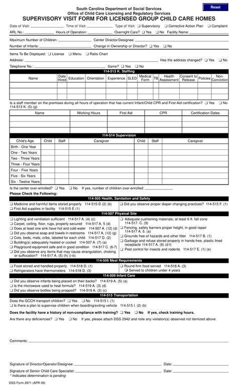 Dss Form 2971 Fill Out Sign Online And Download Fillable Pdf South