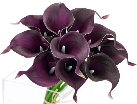 Fiveseasonstuff Stems Real Touch Dark Purple Calla Lilies Etsy