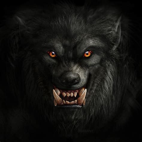 Ferocious Wolf By Minpal Redbubble