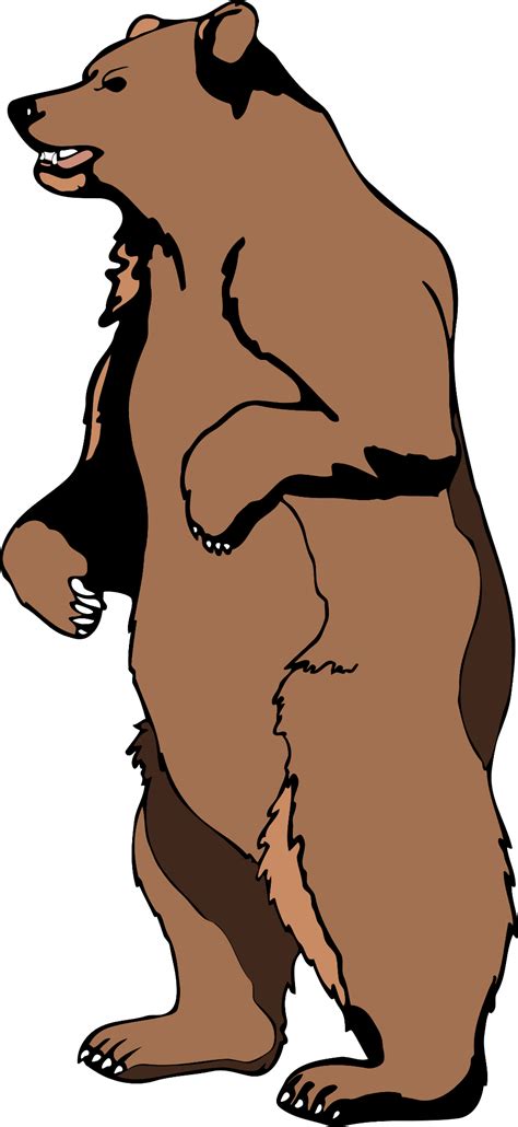 Download High Quality Bear Clipart Standing Transparent Png Images