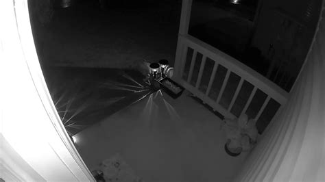 Possible Bobcat On Security Camera Youtube