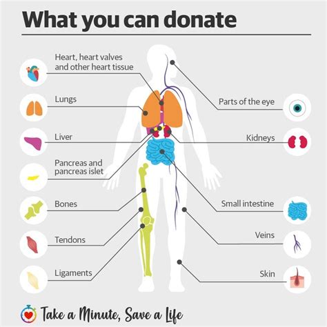 Why Do People Donate Organs