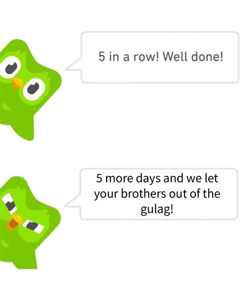 Please Duolingo Owl No More Russian R Memes