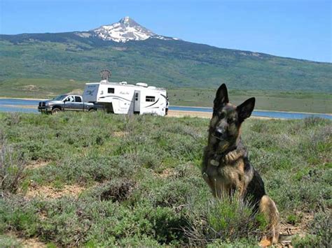 Puppies can be a great addition to many families. How To Travel With Pets In An RV. These 5 Key Points.