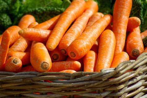 Carrots Farm Fresh Organics