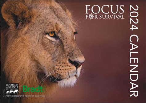 Focus For Survival Calendar Real World Store