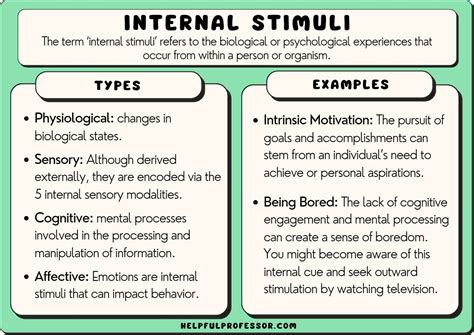 Internal Stimuli Examples And Definition 2024