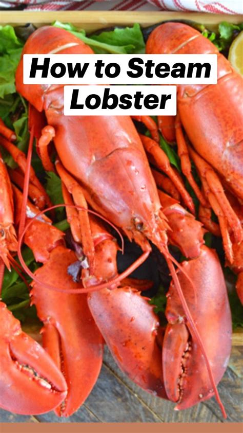 how to steam lobster an immersive guide by savory experiments