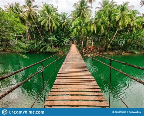 Wooden Bridge Over The River In The Tropical Jungle Of The Philippines