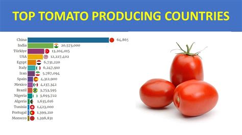 Top Tomato Producing Countries 1961 2020 Youtube