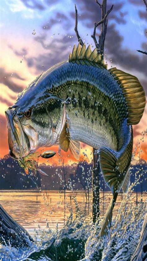 48 Free Bass Fishing Wallpaper