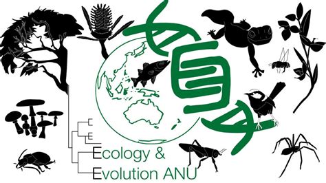 Division Of Ecology And Evolution Anu Research School Of Biology