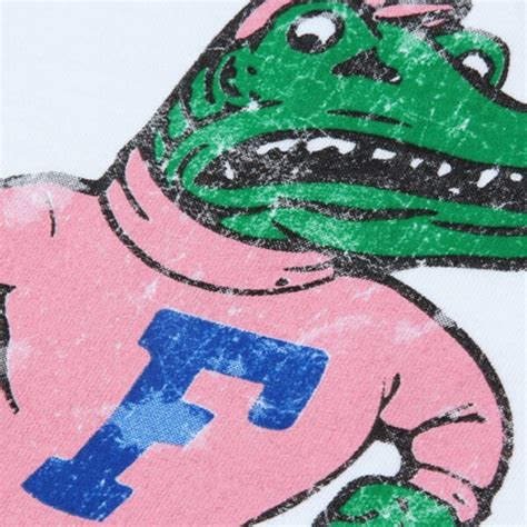 Florida Gators Youth Girls Raglan T Shirt Pinkwhite Official