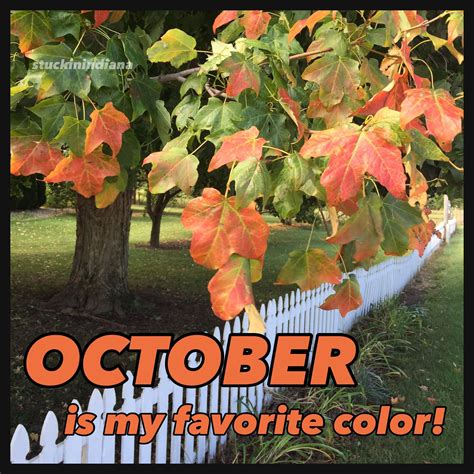 October Is My Favorite Color Favorite Color October Autumn