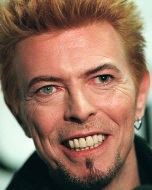 Back in 1962, when bowie was just 15, he got into a fist fight with a friend, george. Cats With 2 Different-Colored Eyes - Petful