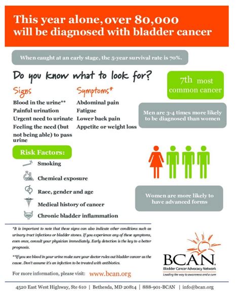 Bladder Cancer Symptoms Signs And Risk Factors Bladder Cancer