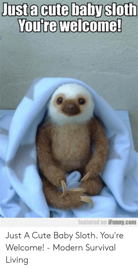 Baby Sloth Funny Memes 10lilian