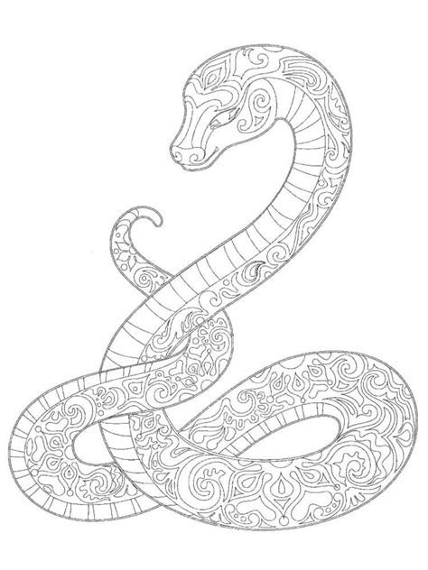 serpiente mándala para colorear imprimir e dibujar coloringonly