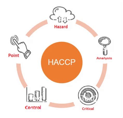 HACCP Critical Control Point Chart