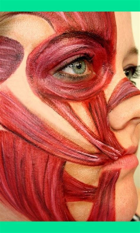 Facial muscles makeup- get students to do to mremember muscles of face