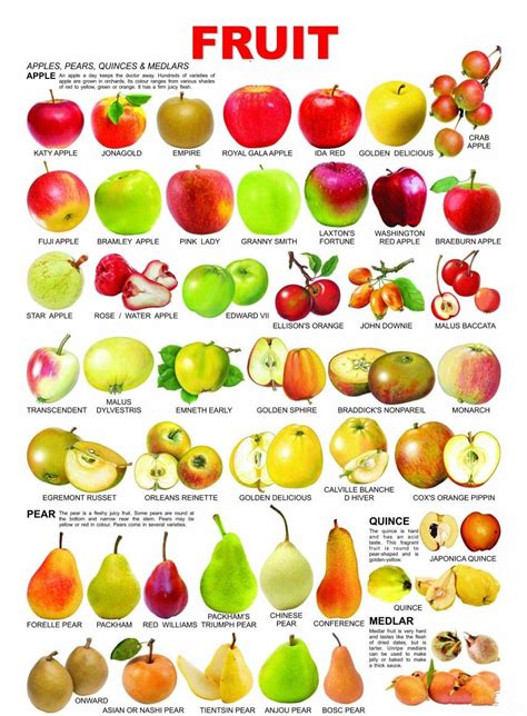 Pin By Green And Healthy On Healthy Diet Fruit Chart Fruit English