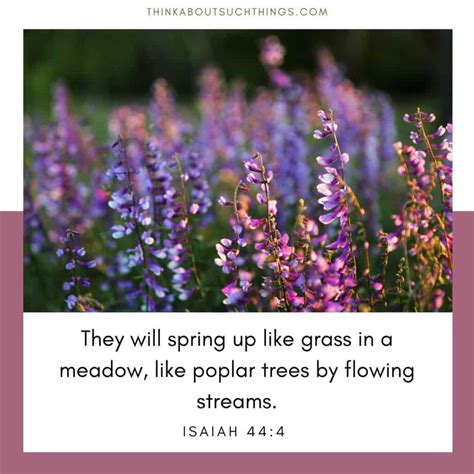17 Beautiful Spring Bible Verses To Glean From Think About Such