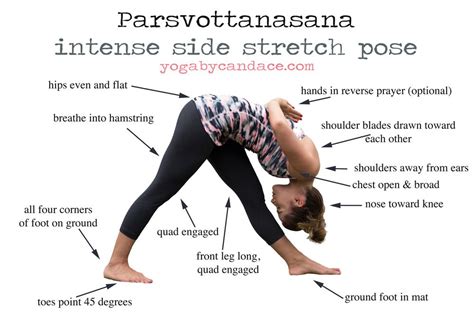 How To Do Parsvottanasana Yoga Asanas How To Do Yoga Yoga Techniques