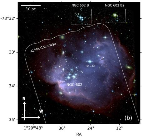 Young Open Cluster Ngc 602 Inspected With Alma