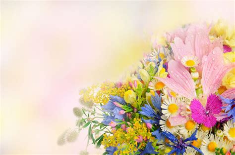 Pretty Flowers Wallpapers Wallpaper Cave