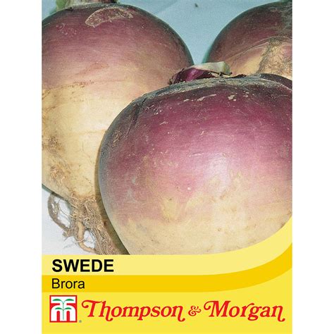 Swede Brora Seeds Thompson And Morgan