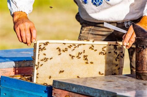 Premium Photo Beekeeper Working In The Apiary Beekeeping Concept