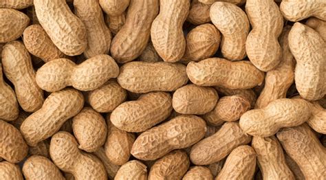 Please tell us which questions below are the same as this one: What Is The Scientific Name Of Peanut? (ANSWERS)