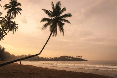 Top 5 Beaches In South Goa Our Taste For Life