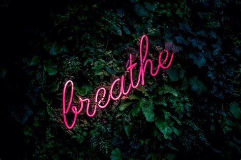 Free Download 100 Breathe Pictures Hd Download Images On Unsplash