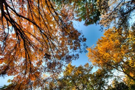 Fall Foliage At Kansas Citys Cliff Drive Eric Bowers