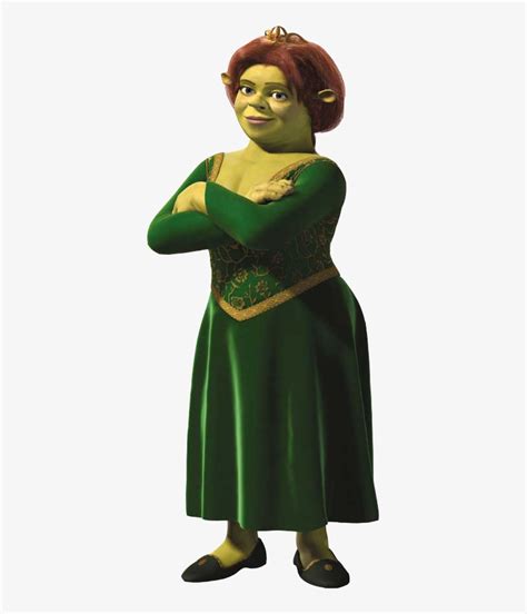 26 Princess Fiona Shrek Costume