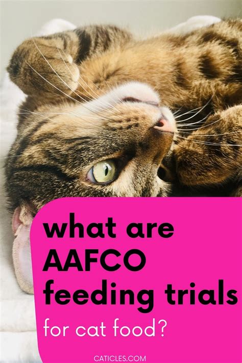Read our purina cat food review to learn how purina cat food stacks up. What are AAFCO Feeding Trials for Cat Food? - Caticles