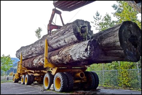 Major Forestry Equipment Manufacturers In North America