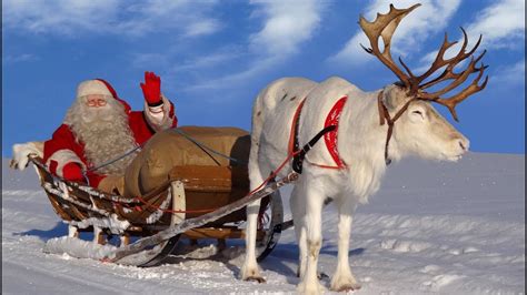 Super Líquenes De Los Renos De Papá Noel Santa Claus En Laponia