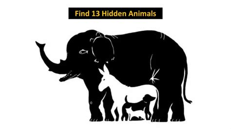There Are 13 Hidden Animals In This Optical Illusion Can You Spot Them
